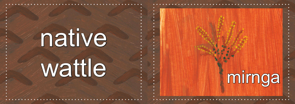 Adnyamathanha Language Flashcards, Page 32