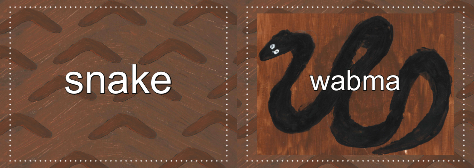 Adnyamathanha Language Flashcards, Page 35