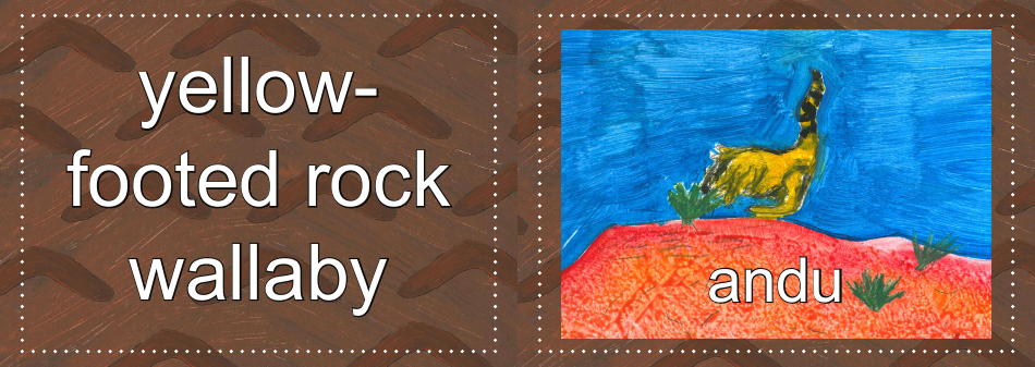 Adnyamathanha Language Flashcards, Page 39