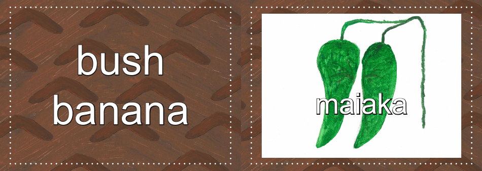 Adnyamathanha Language Flashcards, Page 40