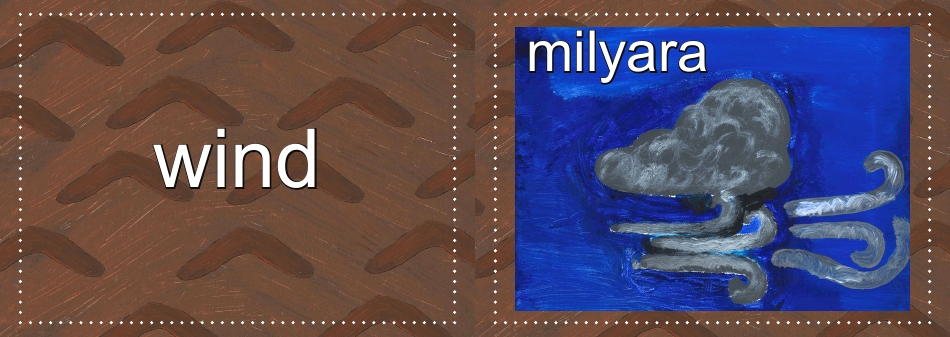 Adnyamathanha Language Flashcards, Page 45