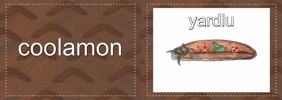 Adnyamathanha Language Flashcards, Page 46