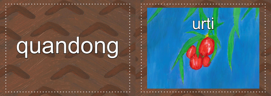 Adnyamathanha Language Flashcards, Page 8