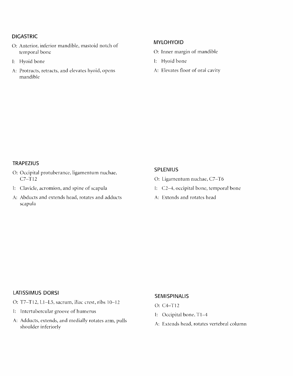 Anatomy Flashcards - Muscles of the Human Body, Page 11