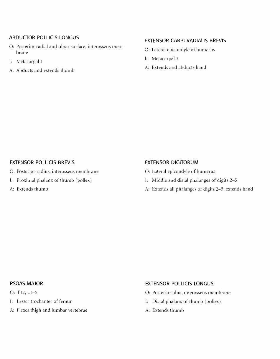 Anatomy Flashcards - Muscles of the Human Body, Page 25