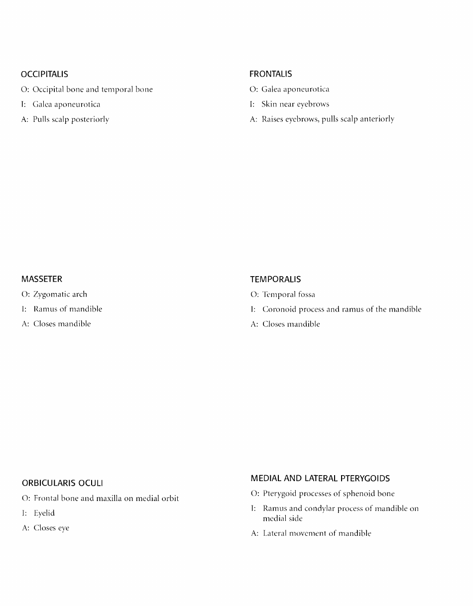 Anatomy Flashcards - Muscles of the Human Body, Page 5