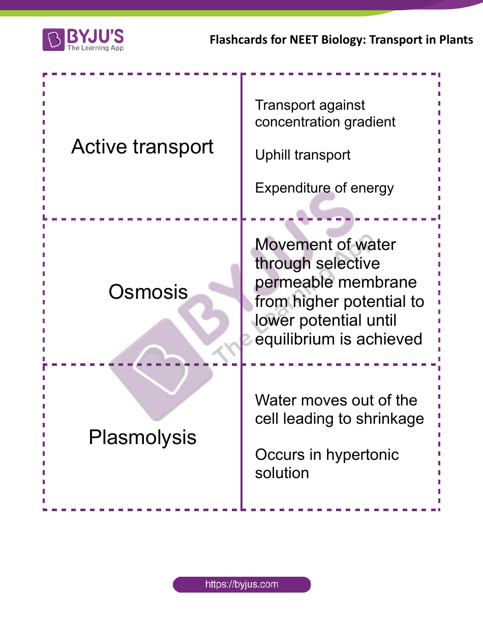 Biology Flashcards - Transport in Plants, Page 4