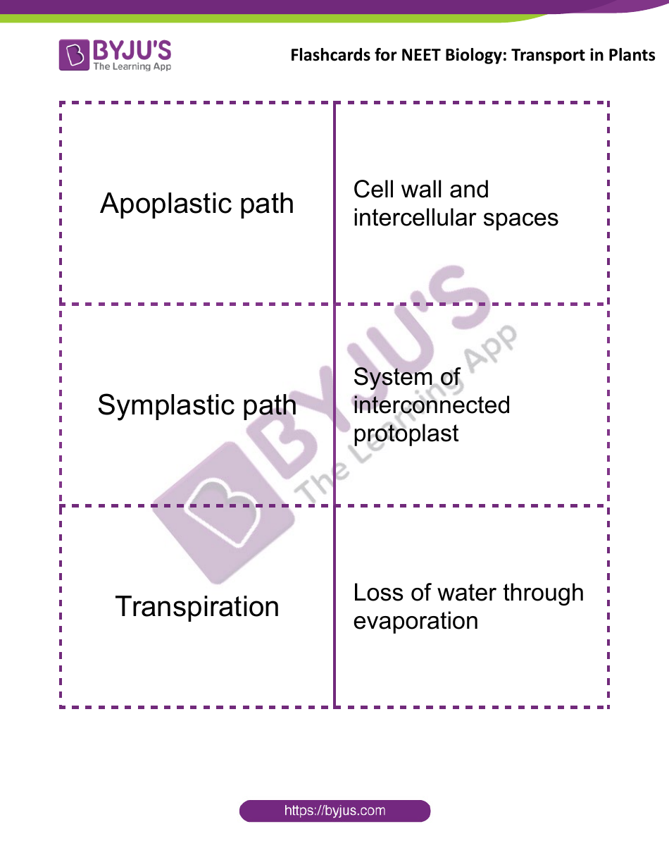 Biology Flashcards - Transport in Plants, Page 6