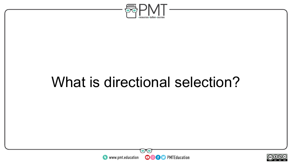 Aqa Biology a-Level Flashcards - Evolution May Lead to Speciation, Page 12