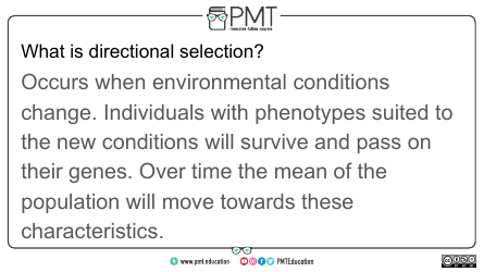 Aqa Biology a-Level Flashcards - Evolution May Lead to Speciation, Page 13