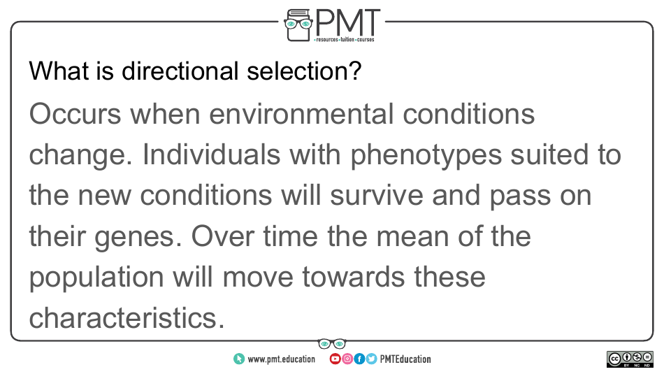Aqa Biology a-Level Flashcards - Evolution May Lead to Speciation, Page 13