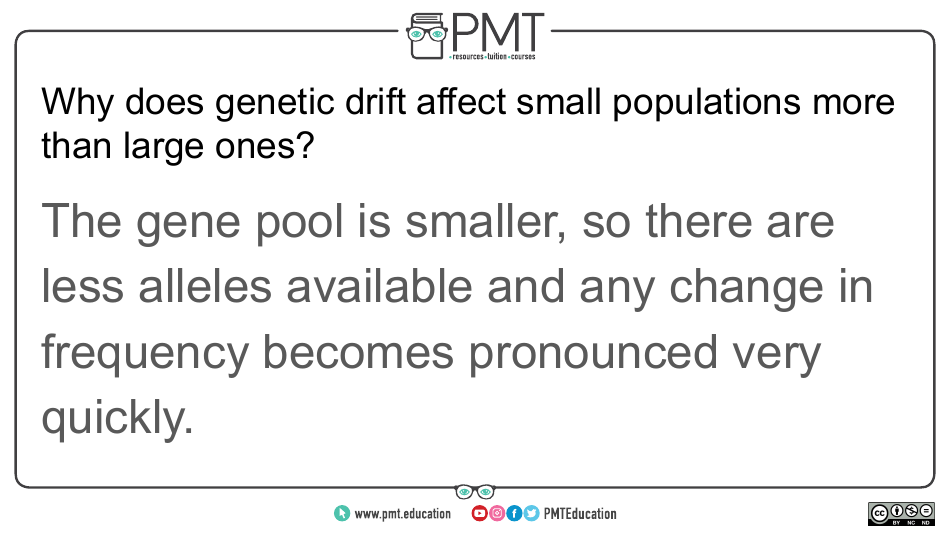 Aqa Biology a-Level Flashcards - Evolution May Lead to Speciation, Page 25