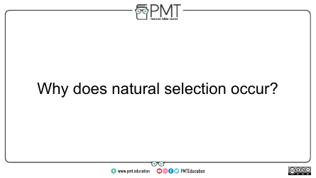 Aqa Biology a-Level Flashcards - Evolution May Lead to Speciation, Page 6