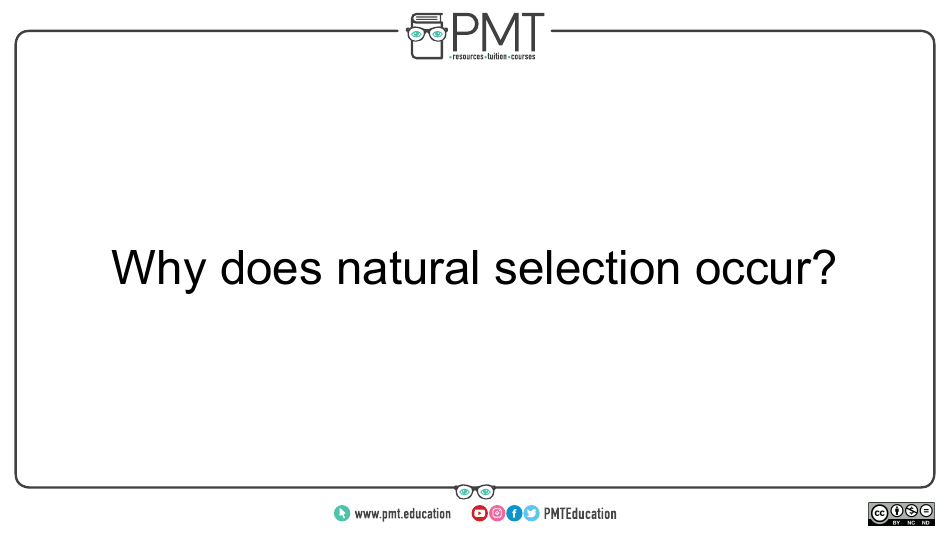 Aqa Biology a-Level Flashcards - Evolution May Lead to Speciation, Page 6