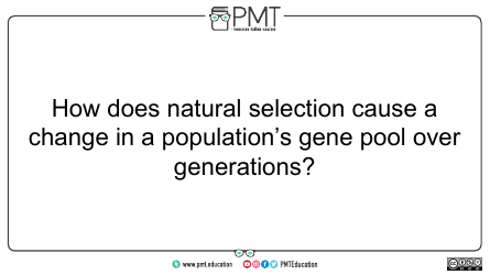 Aqa Biology a-Level Flashcards - Evolution May Lead to Speciation, Page 8