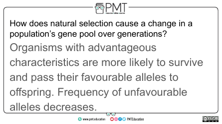 Aqa Biology a-Level Flashcards - Evolution May Lead to Speciation, Page 9