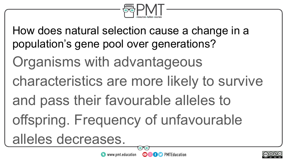 Aqa Biology a-Level Flashcards - Evolution May Lead to Speciation, Page 9