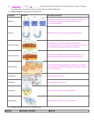 General Biology Midterm Exam Review Guide, Page 3