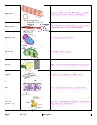 General Biology Midterm Exam Review Guide, Page 5