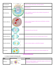 General Biology Midterm Exam Review Guide, Page 6