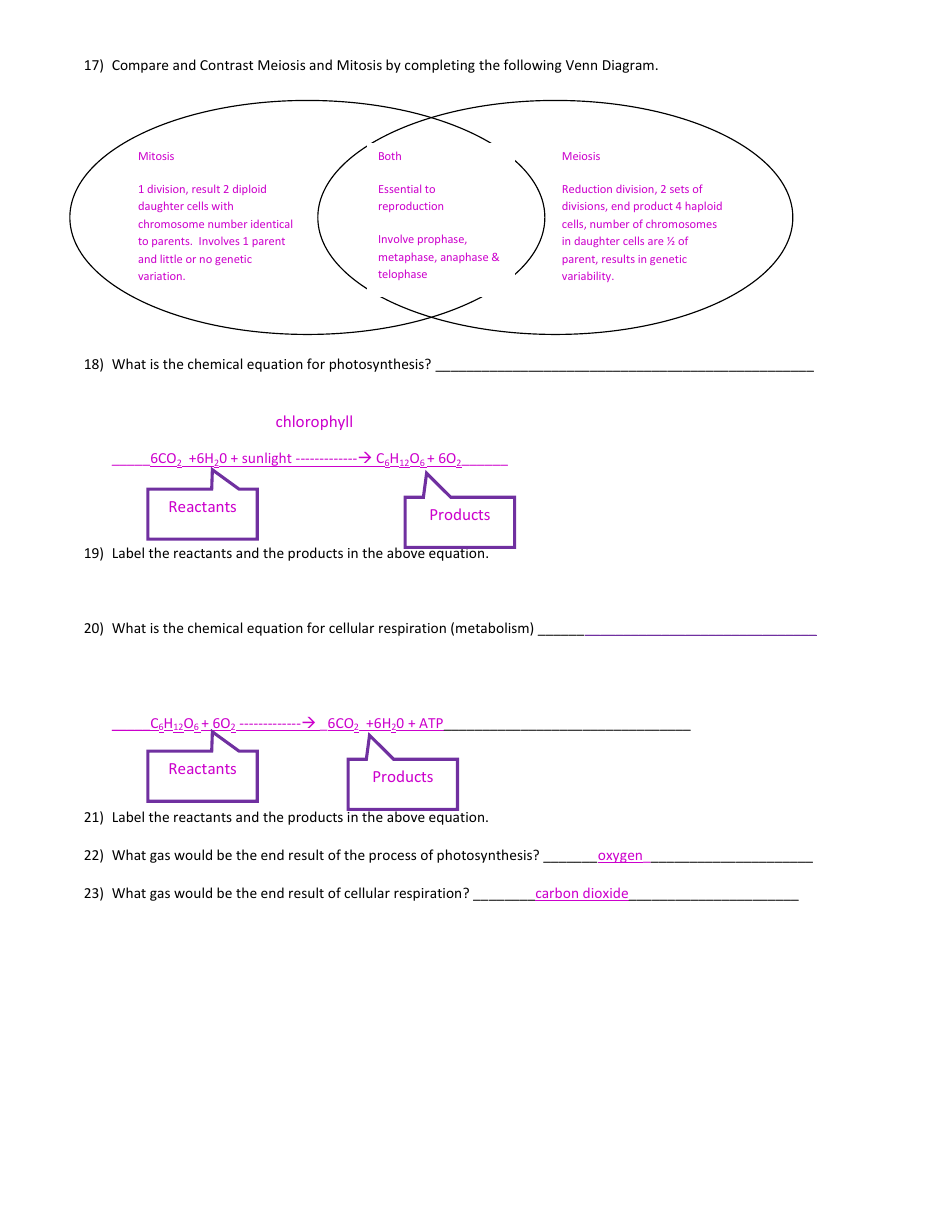 General Biology Midterm Exam Review Guide Download Printable Pdf