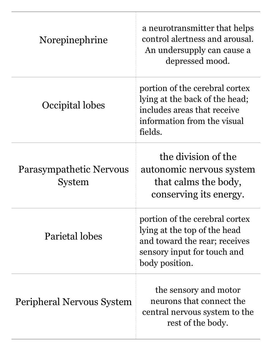 Psychology Terms Flashcards, Page 10