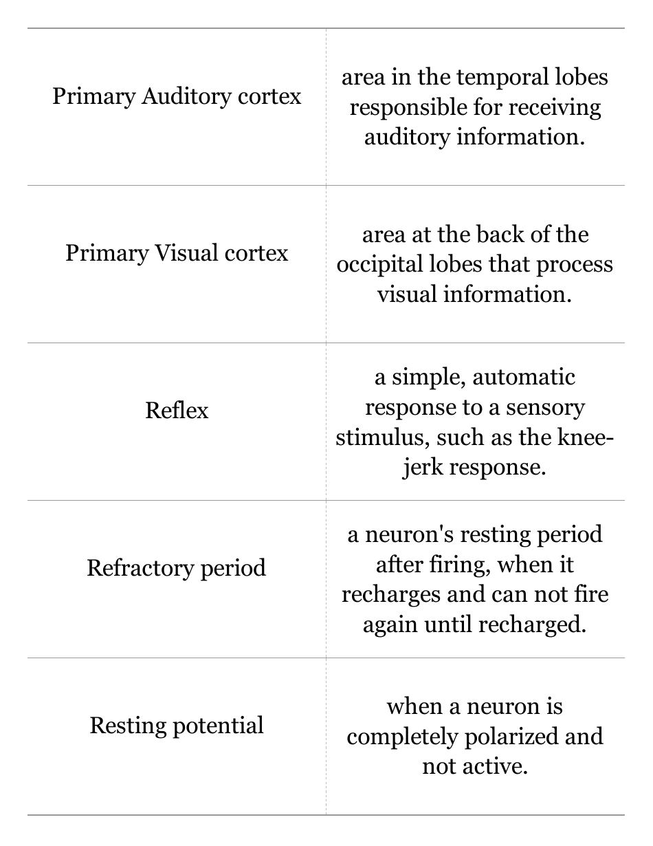 Psychology Terms Flashcards, Page 12