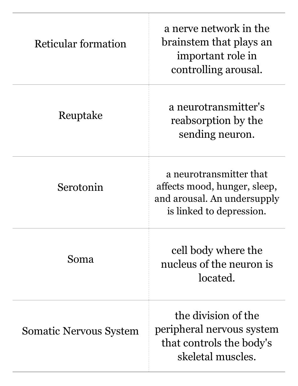 Psychology Terms Flashcards, Page 13