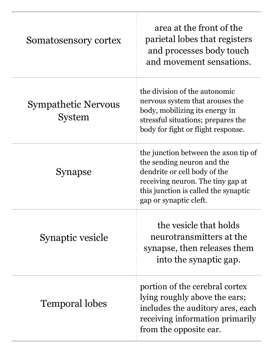 Psychology Terms Flashcards, Page 14