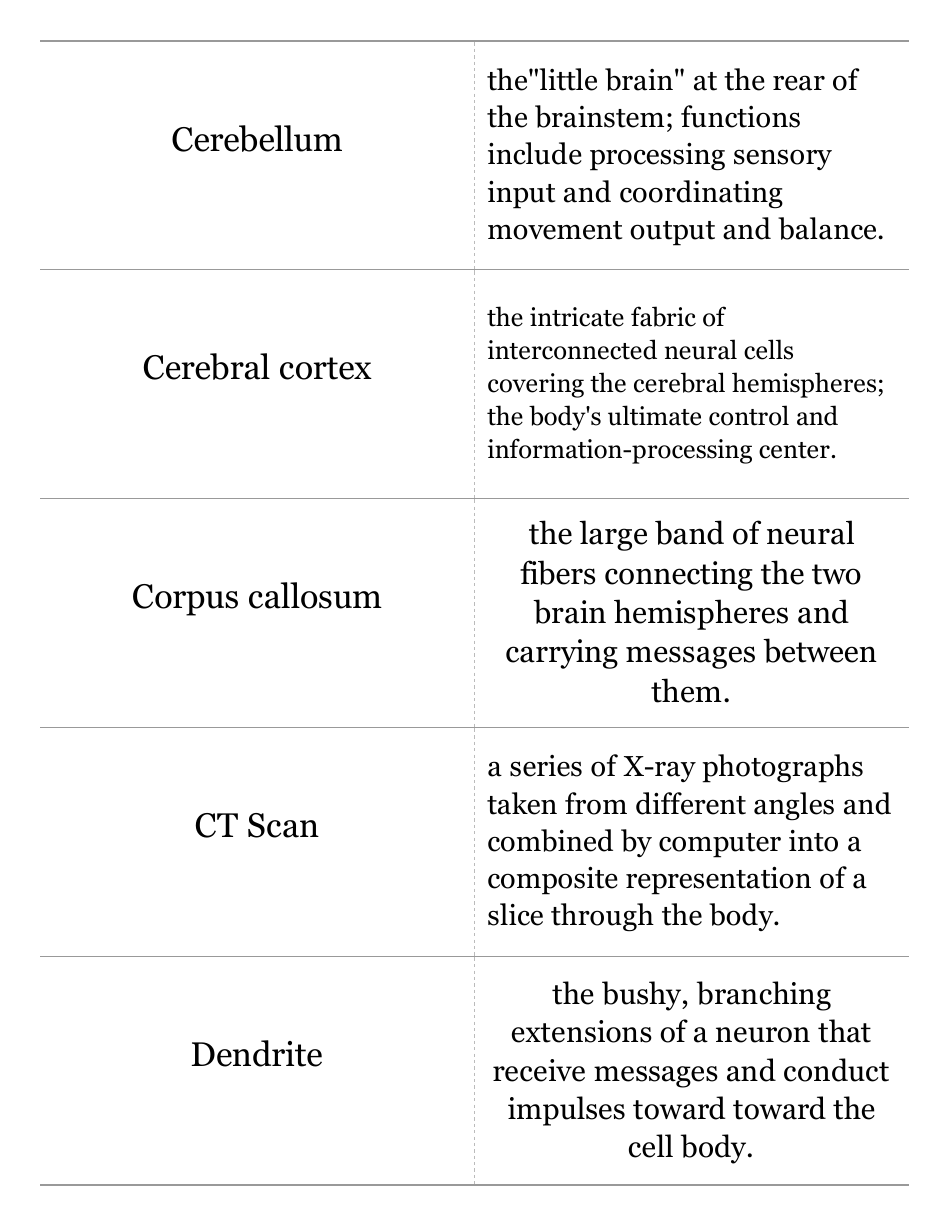 Psychology Terms Flashcards, Page 4