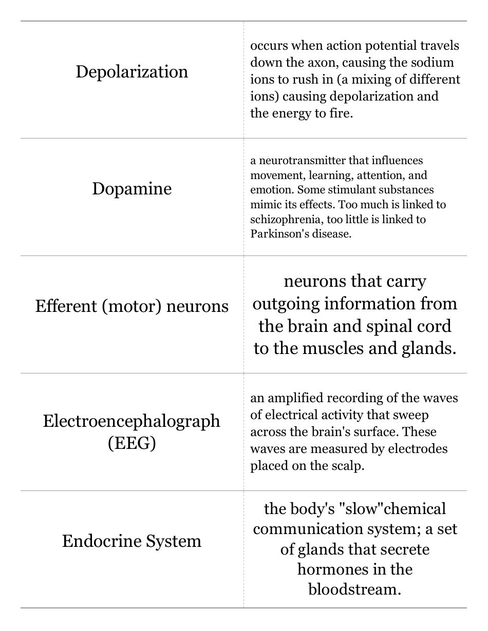 Psychology Terms Flashcards, Page 5