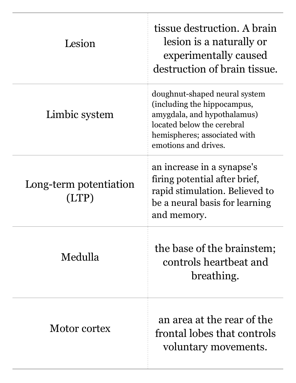 Psychology Terms Flashcards, Page 8
