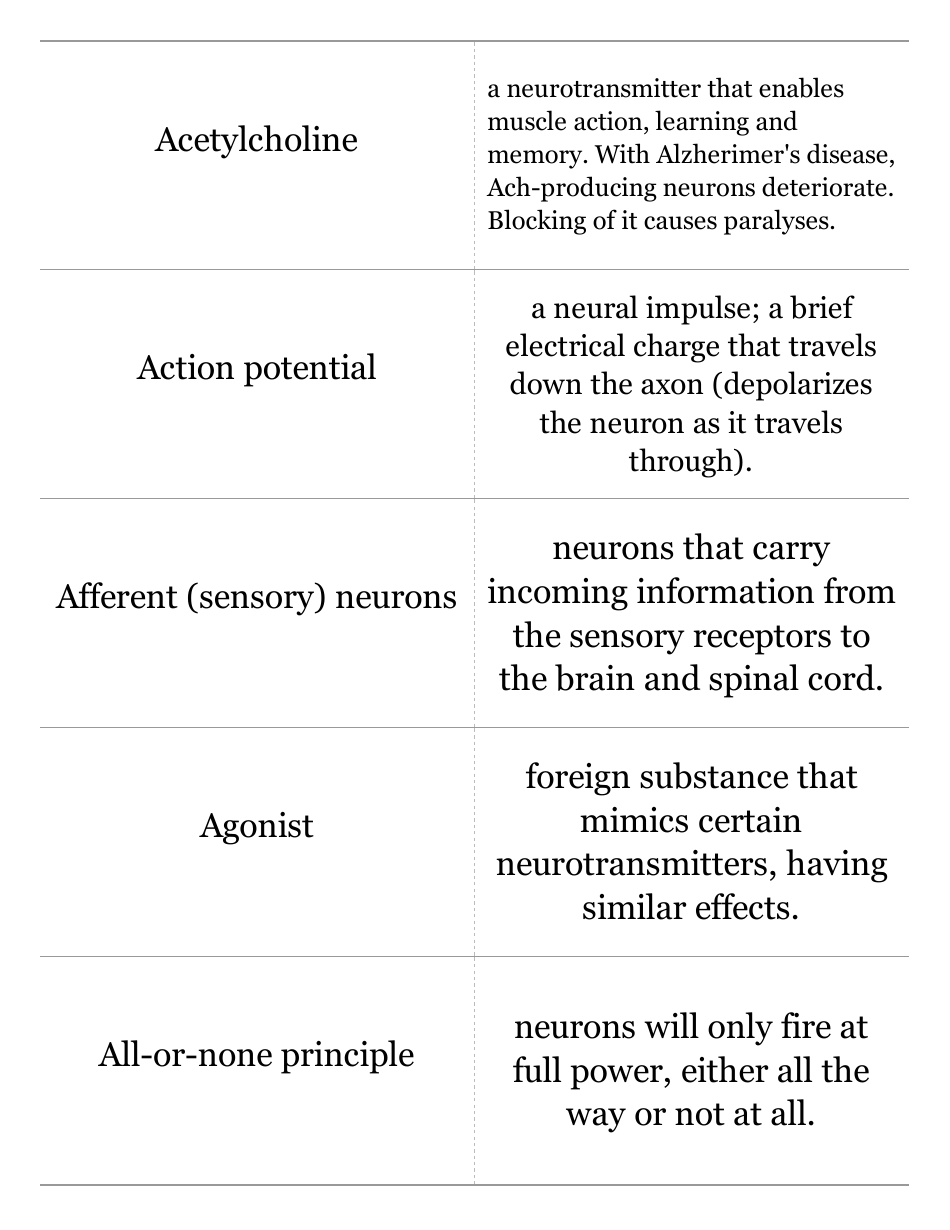 Psychology Terms Flashcards Download Printable PDF Templateroller