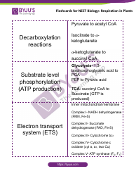 Neet Biology Flashcards - Respiration in Plants, Page 3
