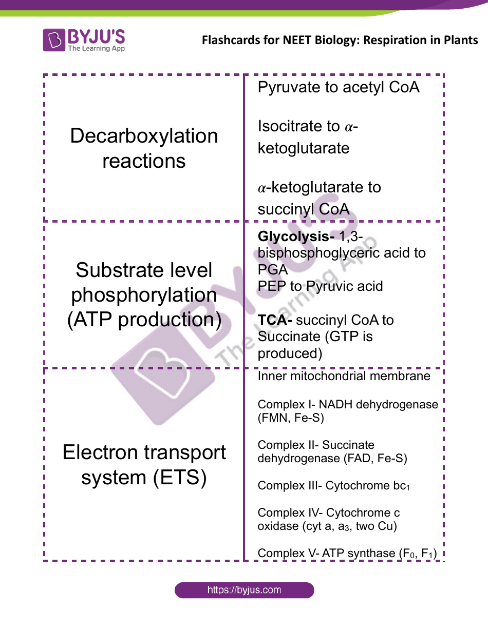 Neet Biology Flashcards - Respiration in Plants, Page 3