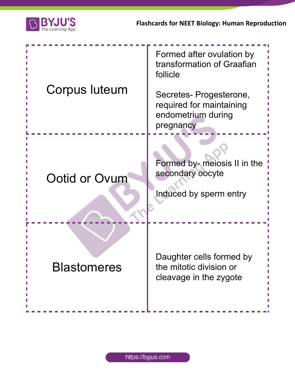 Neet Biology Flashcards - Human Reproduction, Page 10