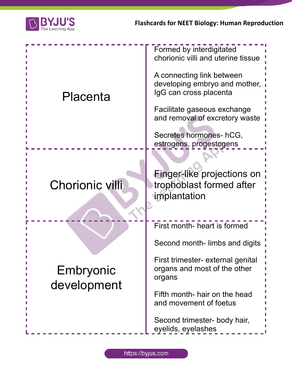 Neet Biology Flashcards - Human Reproduction, Page 12