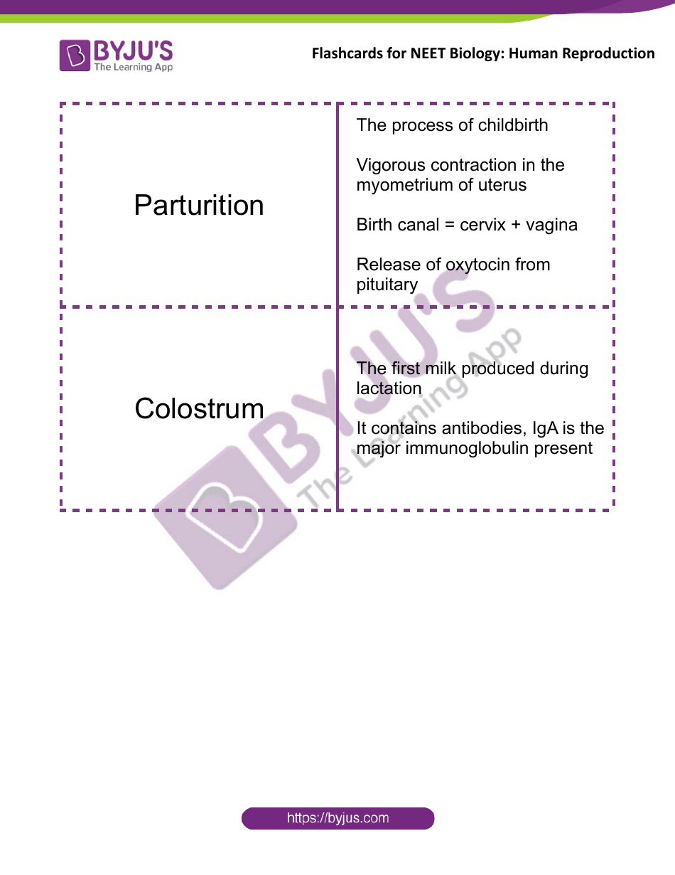 Neet Biology Flashcards - Human Reproduction, Page 13