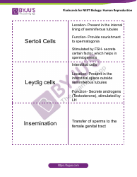 Neet Biology Flashcards - Human Reproduction, Page 2