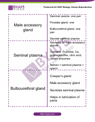 Neet Biology Flashcards - Human Reproduction, Page 3