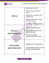 Neet Biology Flashcards - Human Reproduction, Page 5