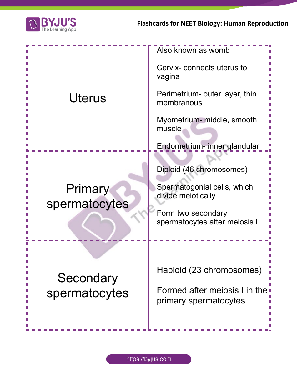 Neet Biology Flashcards - Human Reproduction, Page 5