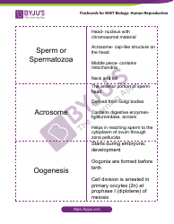 Neet Biology Flashcards - Human Reproduction, Page 7