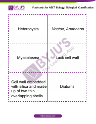 Neet Biology Flashcards - Biological Classification, Page 2