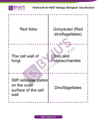 Neet Biology Flashcards - Biological Classification, Page 3