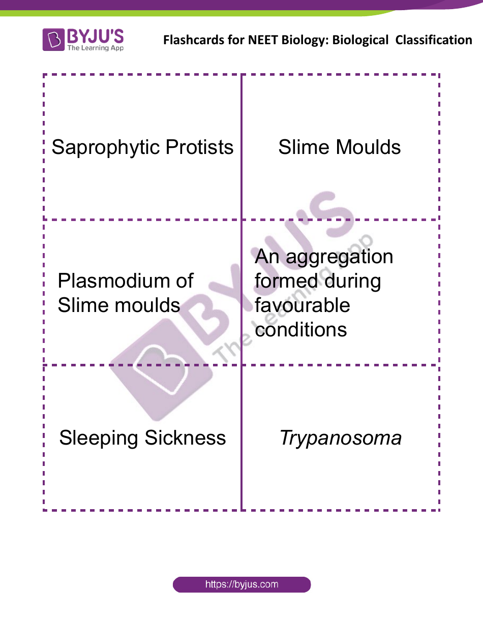 Neet Biology Flashcards - Biological Classification, Page 4