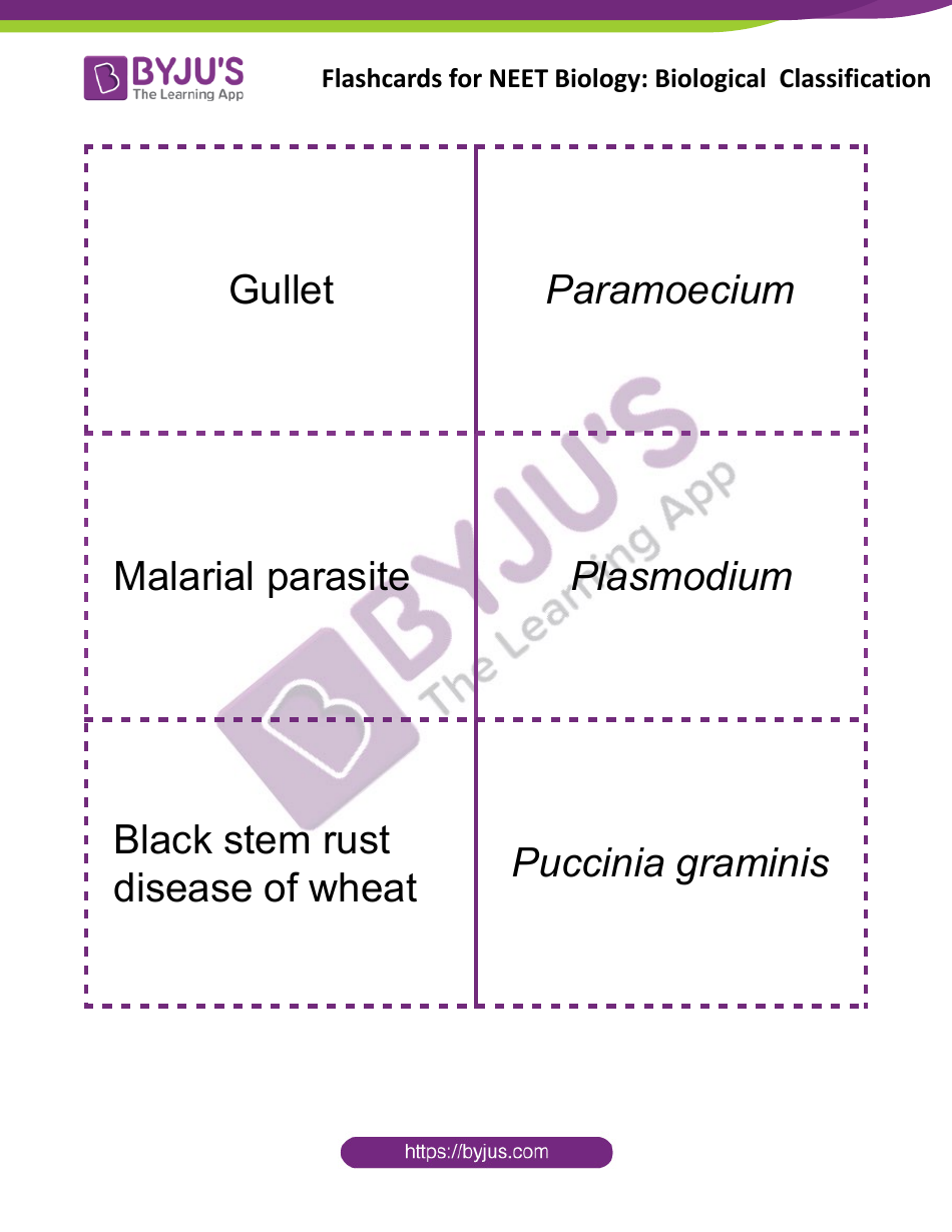 Neet Biology Flashcards - Biological Classification, Page 5