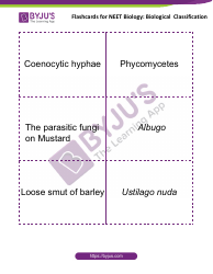 Neet Biology Flashcards - Biological Classification, Page 6