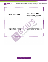 Neet Biology Flashcards - Biological Classification, Page 7