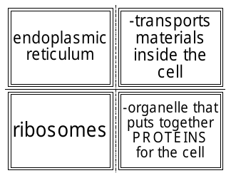 Biology Flashcards - Cell Parts, Page 2